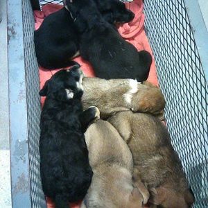 Meet your Posher, Mel